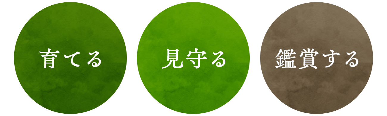 「育てる」「見守る」「鑑賞する」